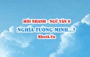 Nghĩa tường minh là gì? Nghĩa hàm ẩn là gì? Ví dụ? Ngữ Văn lớp 8